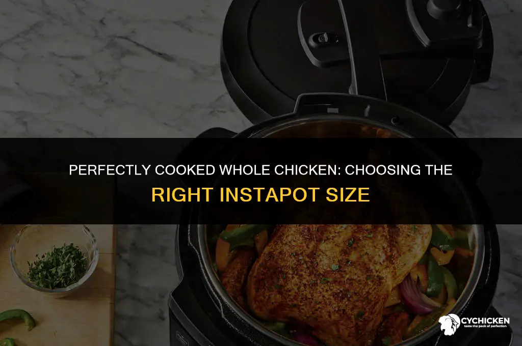 what size instapot will cook a whole chicken