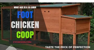 Spacious Poultry Palace: A Guide to 32 Cubic Foot Chicken Coops