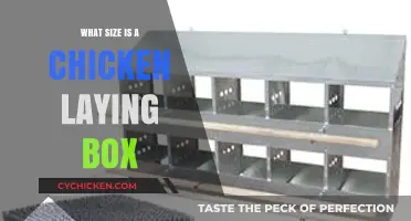 Optimal Chicken Nesting Box Size for Happy, Healthy Egg Laying