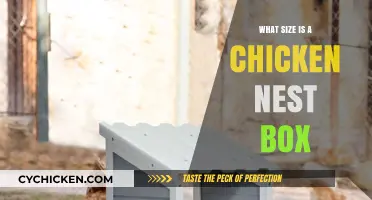 Choosing the Right Chicken Nest Box Size for Happy Hens