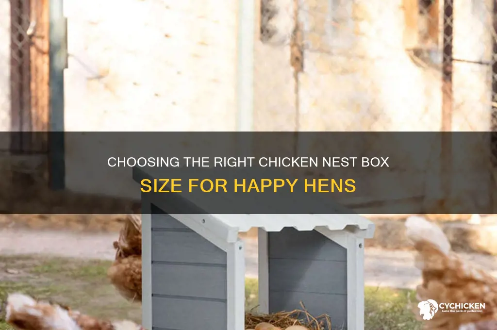 what size is a chicken nest box