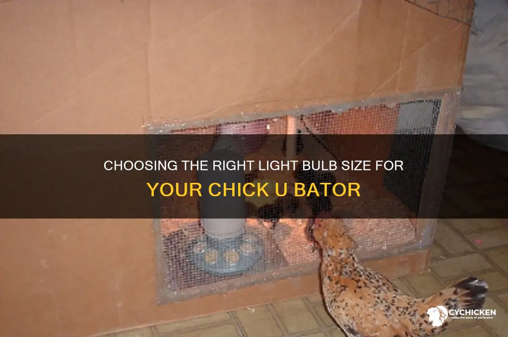 what size light bulb for chick u bator