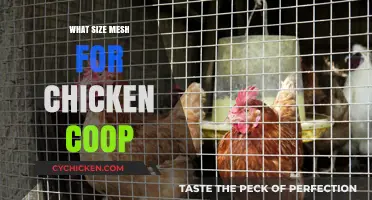 Choosing the Perfect Mesh Size for Your Chicken Coop: A Guide