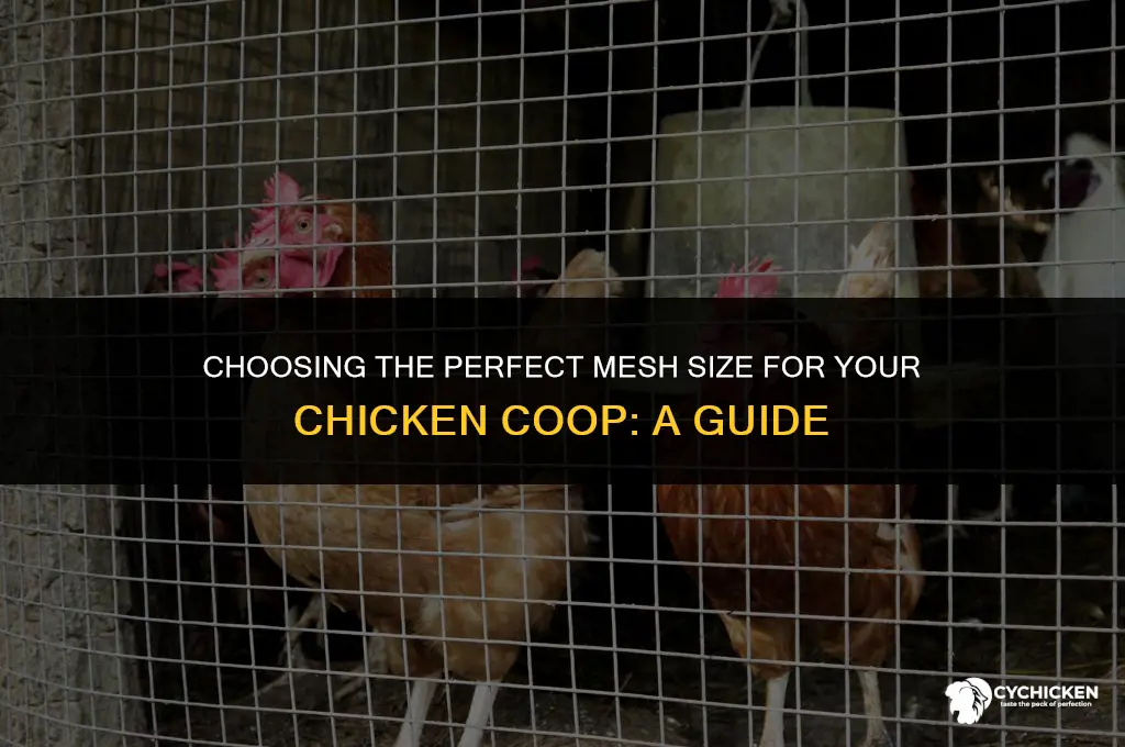 what size mesh for chicken coop