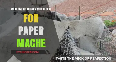 Chicken Wire Sizing for Paper Mache Perfection