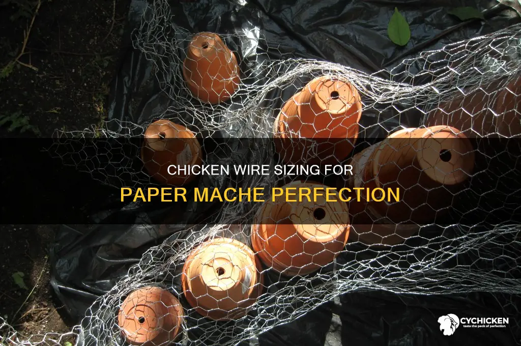 what size of chicken wire is best for paper mache