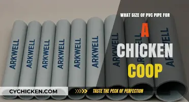 Choosing the Right PVC Pipe Size for Your Chicken Coop