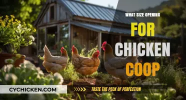 Optimal Coop Comfort: Sizing the Perfect Chicken Coop Opening
