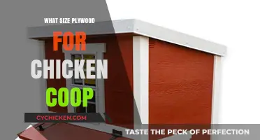 Choosing the Right Plywood Size for Your Chicken Coop