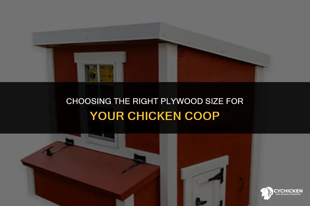 what size plywood for chicken coop