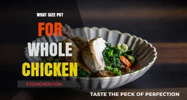 Perfectly Roasted: Choosing the Right Pot Size for a Whole Chicken