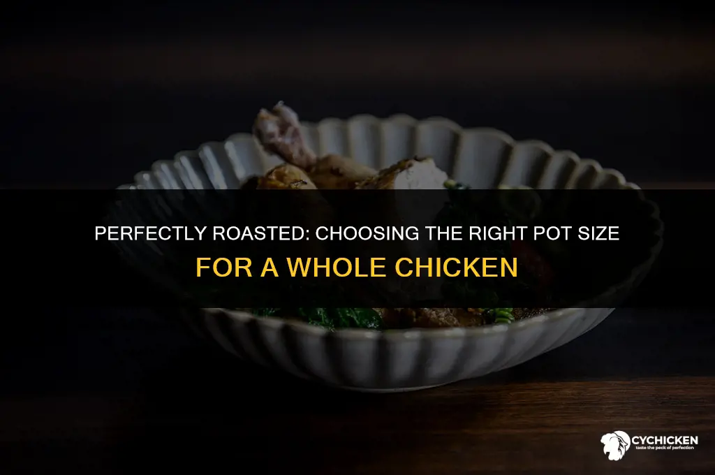 what size pot for whole chicken