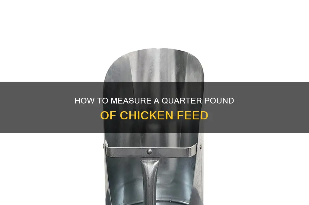 what size scoop is a quarter pound of chicken food