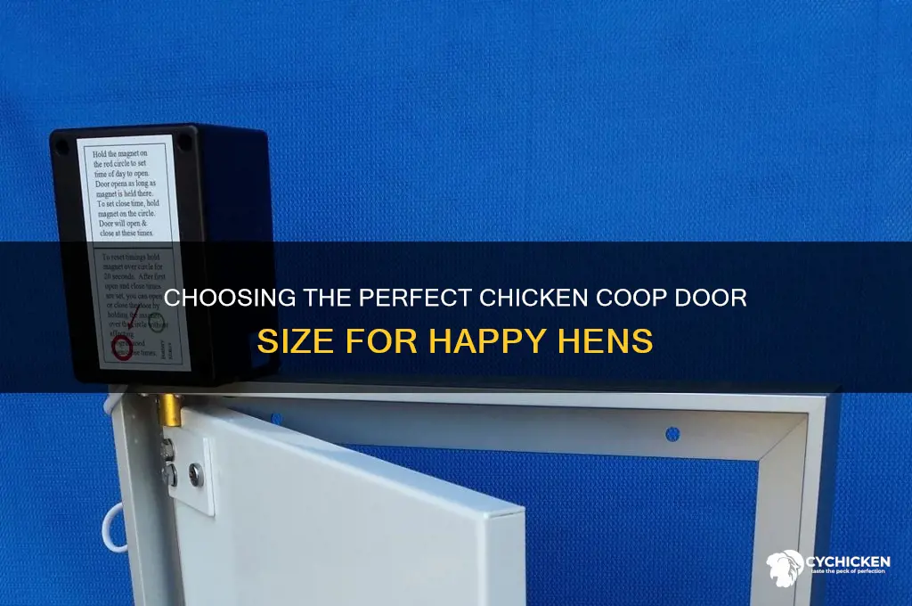 what size should a chicken door be