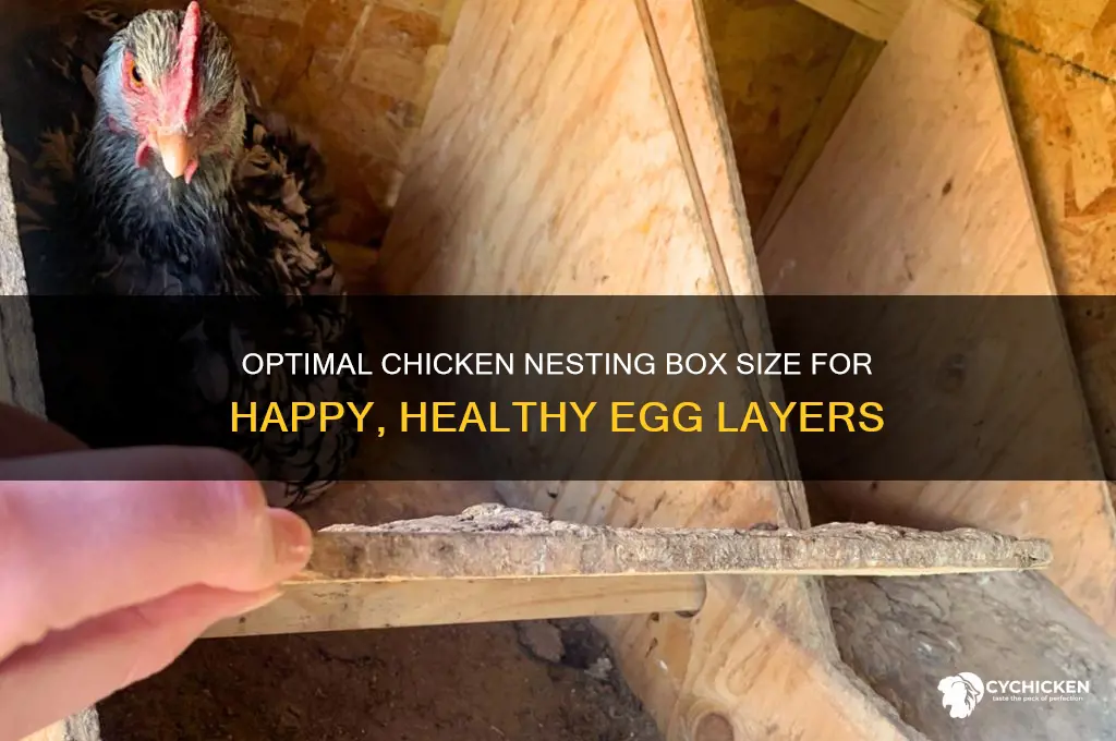 what size should a chicken laying box be