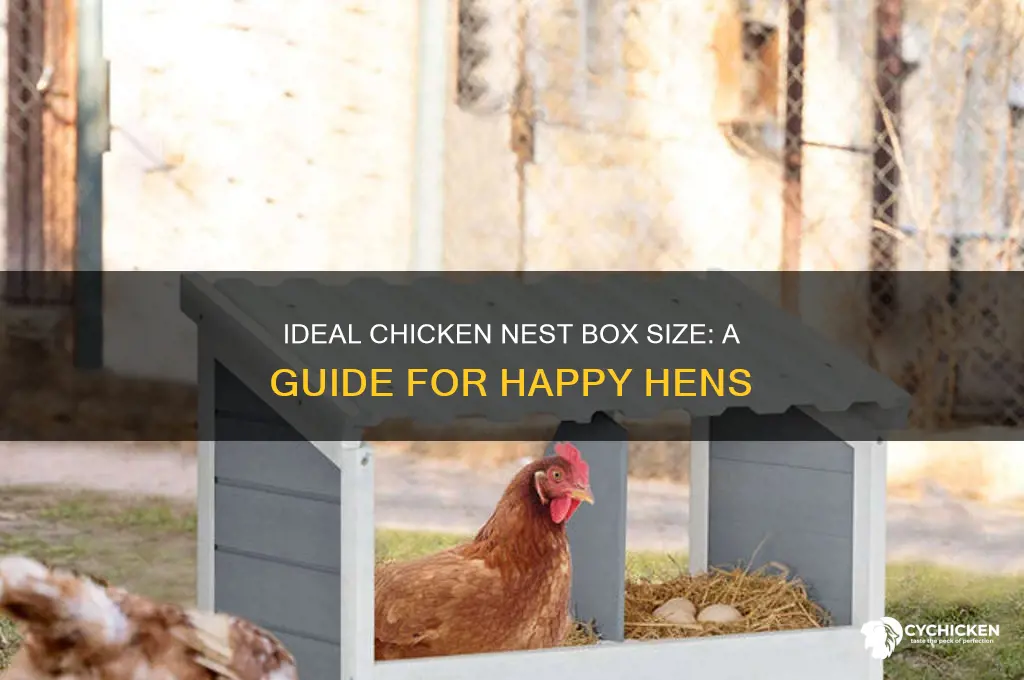 what size should a chicken nest box be