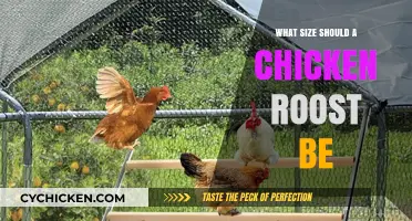 Optimal Chicken Roost Size: Comfort and Space for Happy Hens