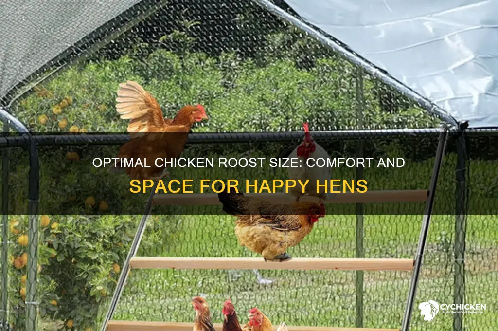 what size should a chicken roost be