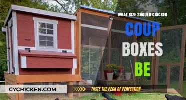 Choosing the Right Chicken Coop Box Size for Happy Hens