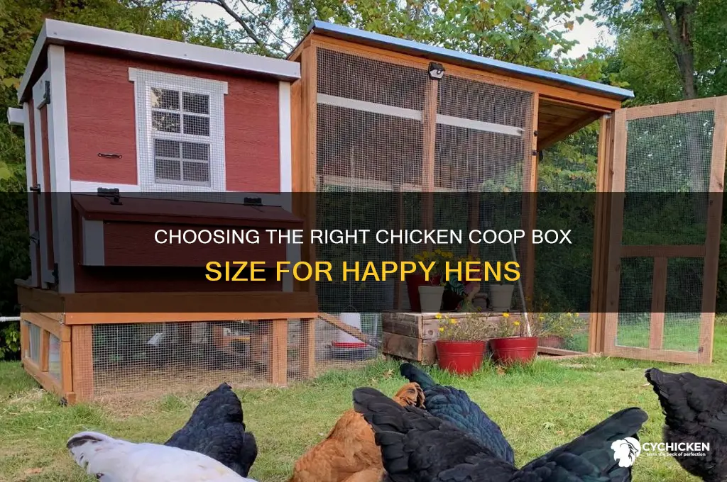 what size should chicken coup boxes be