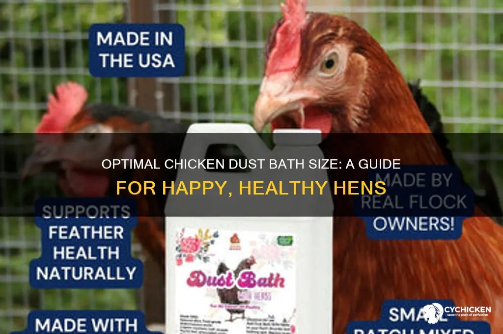 what size should chicken dust baths be