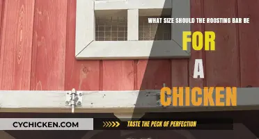 Roosting Bar Dimensions for Chickens: Optimal Sizing for Comfort