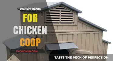 Choosing the Right Staple Size for Your Chicken Coop Construction