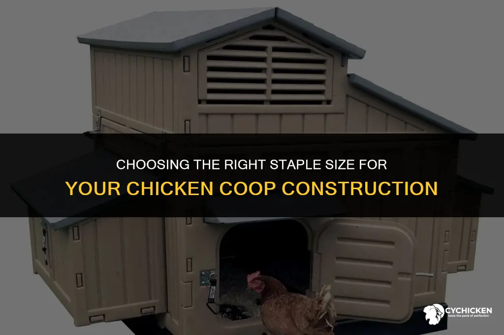 what size staples for chicken coop