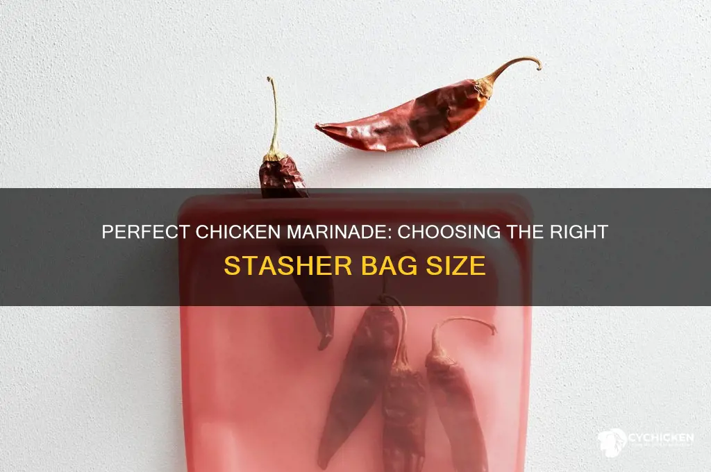 what size stasher bag for marinating chicken