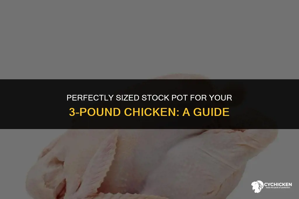 what size stock pot to fit a 3 pound chicken