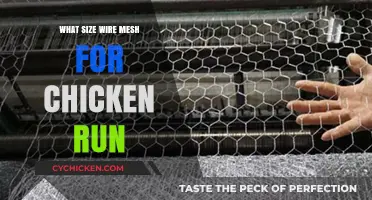 Choosing the Right Wire Mesh Size for Your Chicken Run