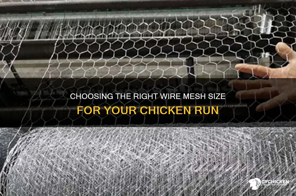 what size wire mesh for chicken run