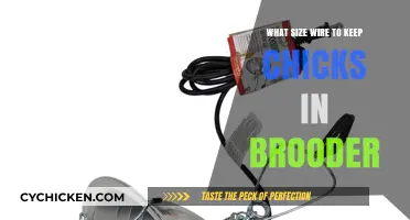 Choosing the Right Wire Size for Your Chick Brooder Setup