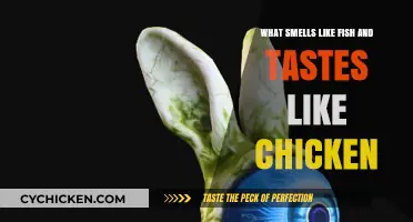 Fishy Aroma, Chicken Flavor: Unveiling the Culinary Mystery of Unique Tastes