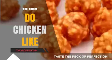 Delicious Treats Chickens Love: Top Snacks for Happy, Healthy Flocks
