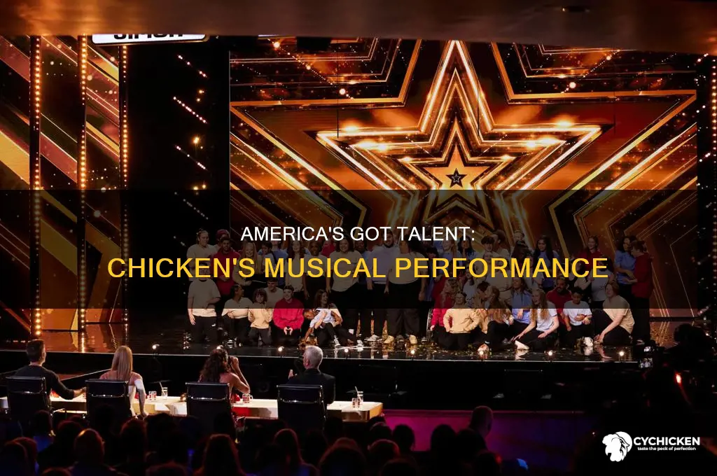 what song did the chicken play on america