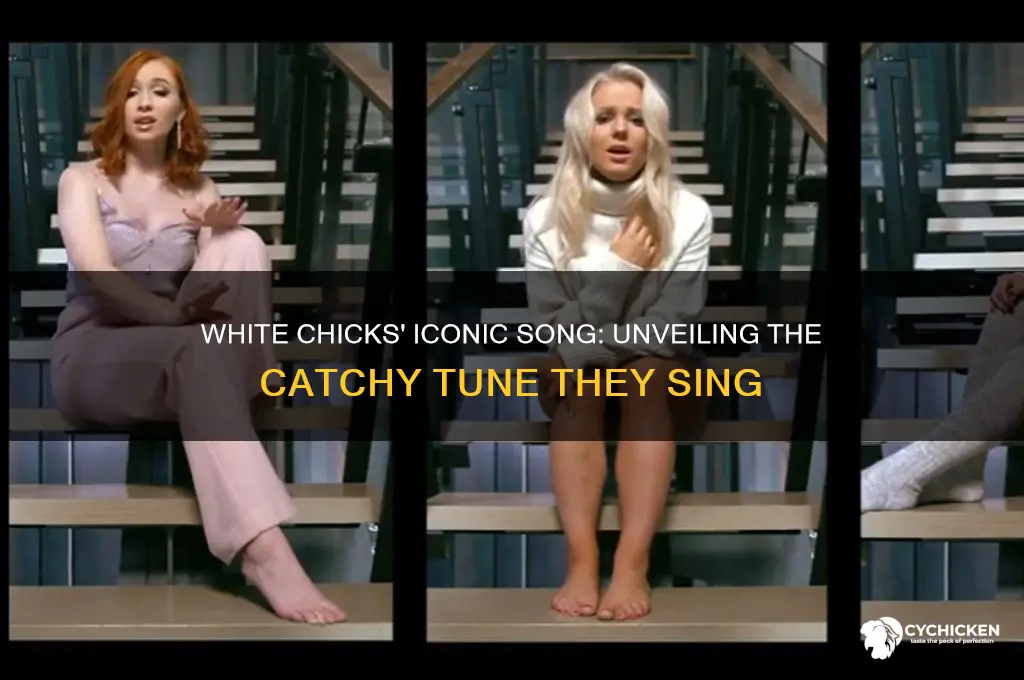 what song do they sing in white chicks