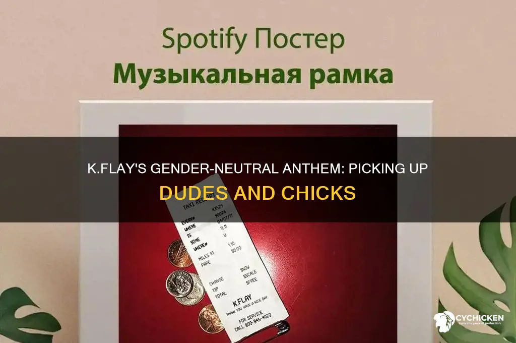 what song features k flay picking up dudes and chicks