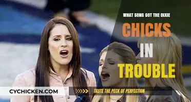 The Dixie Chicks' Controversial Song: A Political Backlash Explained