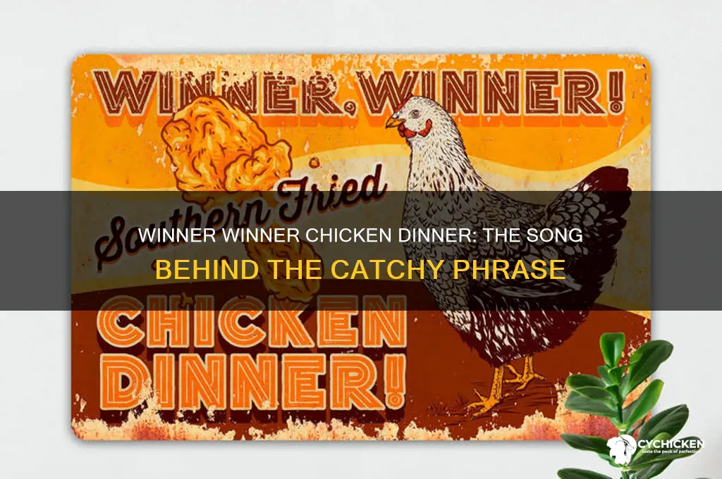what song has winner winner chicken dinner