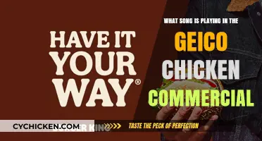 Geico Chicken Commercial: What's That Song?