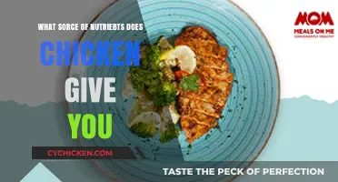 Nutritional Benefits of Chicken: Essential Nutrients for a Healthy Diet