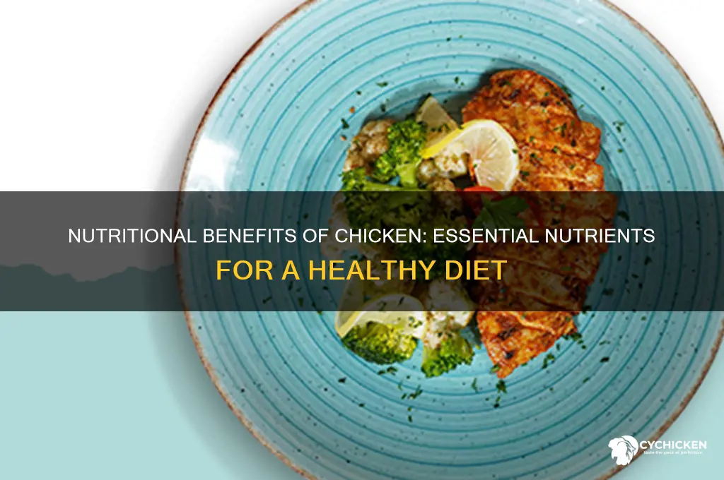 what sorce of nutriebts does chicken give you