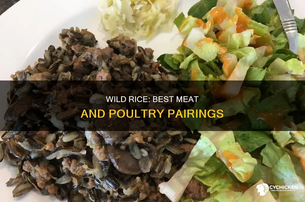 what sort of meat or chicken goes with wildrice