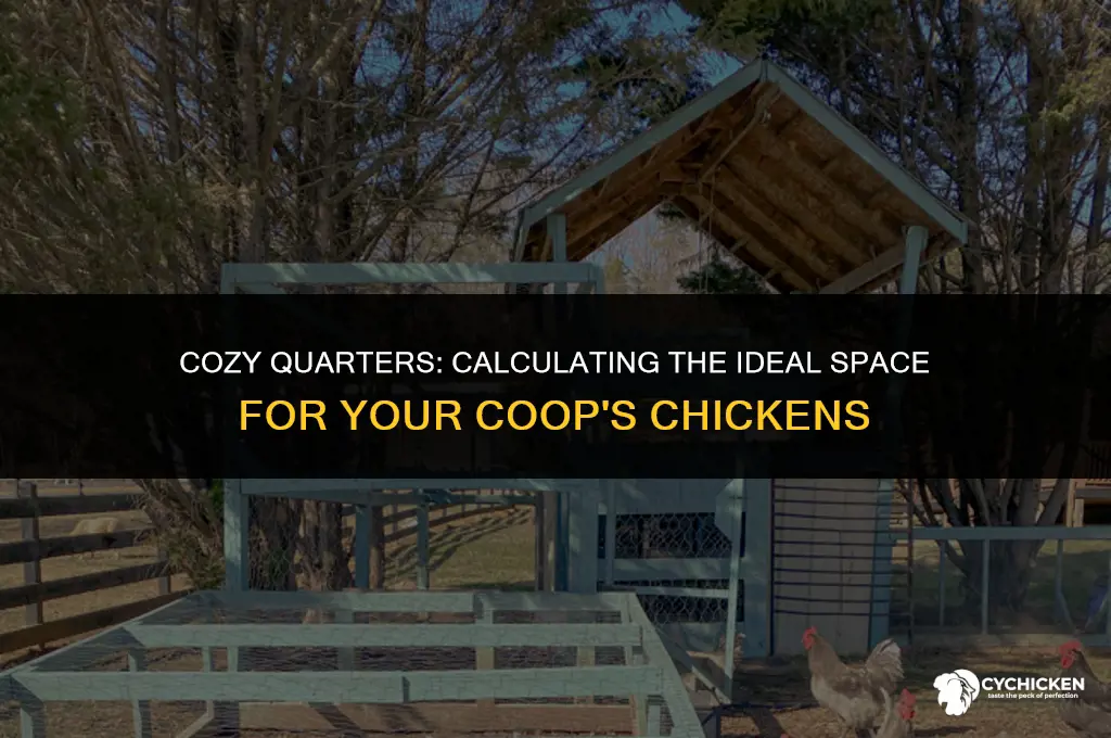 what space does a chicken need in a coop