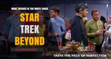 Understanding the White Chick in Star Trek Beyond