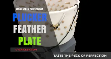 Optimal Chicken Plucker Feather Plate Speed for Efficient Feather Removal