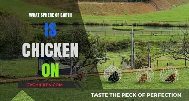 Exploring Earth's Spheres: Where Do Chickens Belong in Our Planet's Layers?