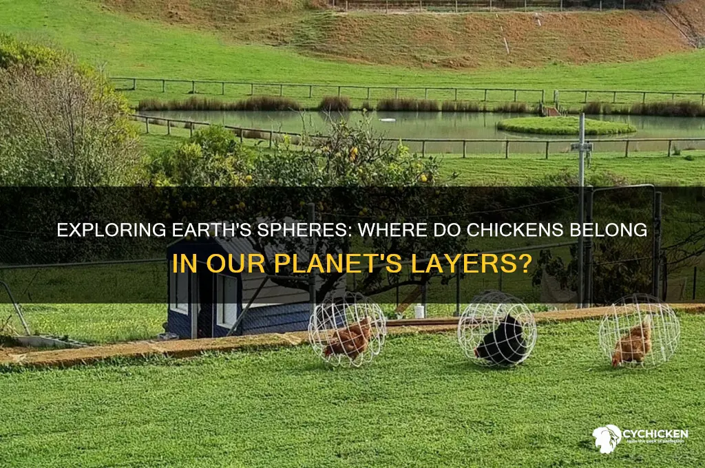 what sphere of earth is chicken on