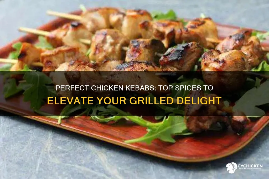 what spice do you put on chicken kebobs